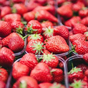 26 Juin 2018 – L’auto-cueillette des fraises pour la saison 2018.   Bienvenue à tous !